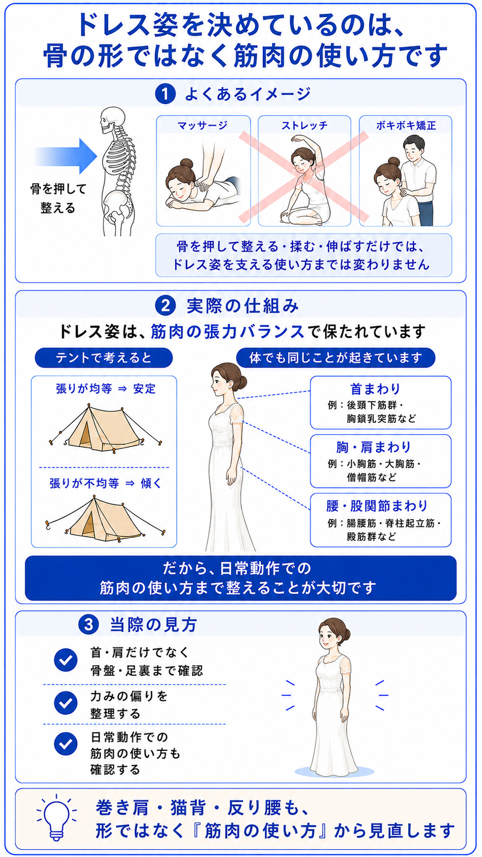 猫背・反り腰・ストレートネック・巻き肩は、骨の形ではなく筋肉の使い方や張力バランスが関係することを説明した図