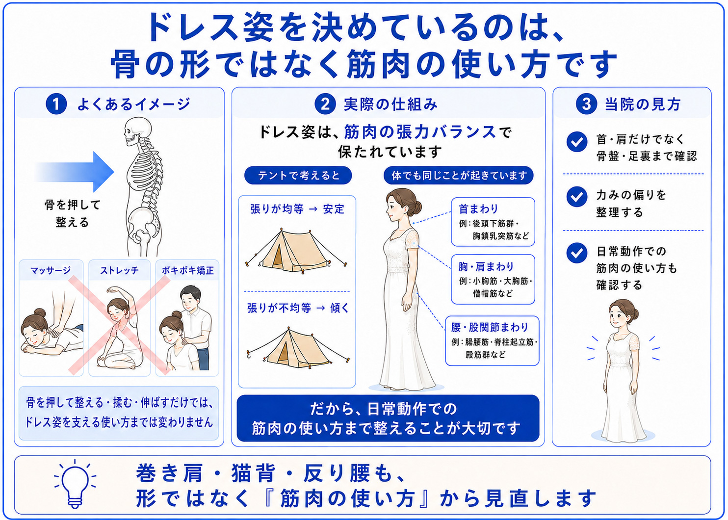 ブライダル整体では、ドレス姿の印象を骨の形ではなく筋肉の使い方や張力バランスから見直すことを説明した図