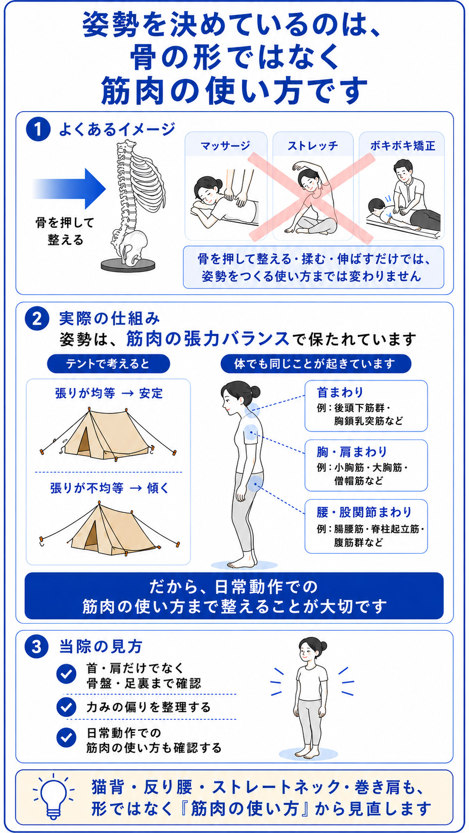 猫背・反り腰・ストレートネック・巻き肩は、骨の形ではなく筋肉の使い方や張力バランスが関係することを説明した図